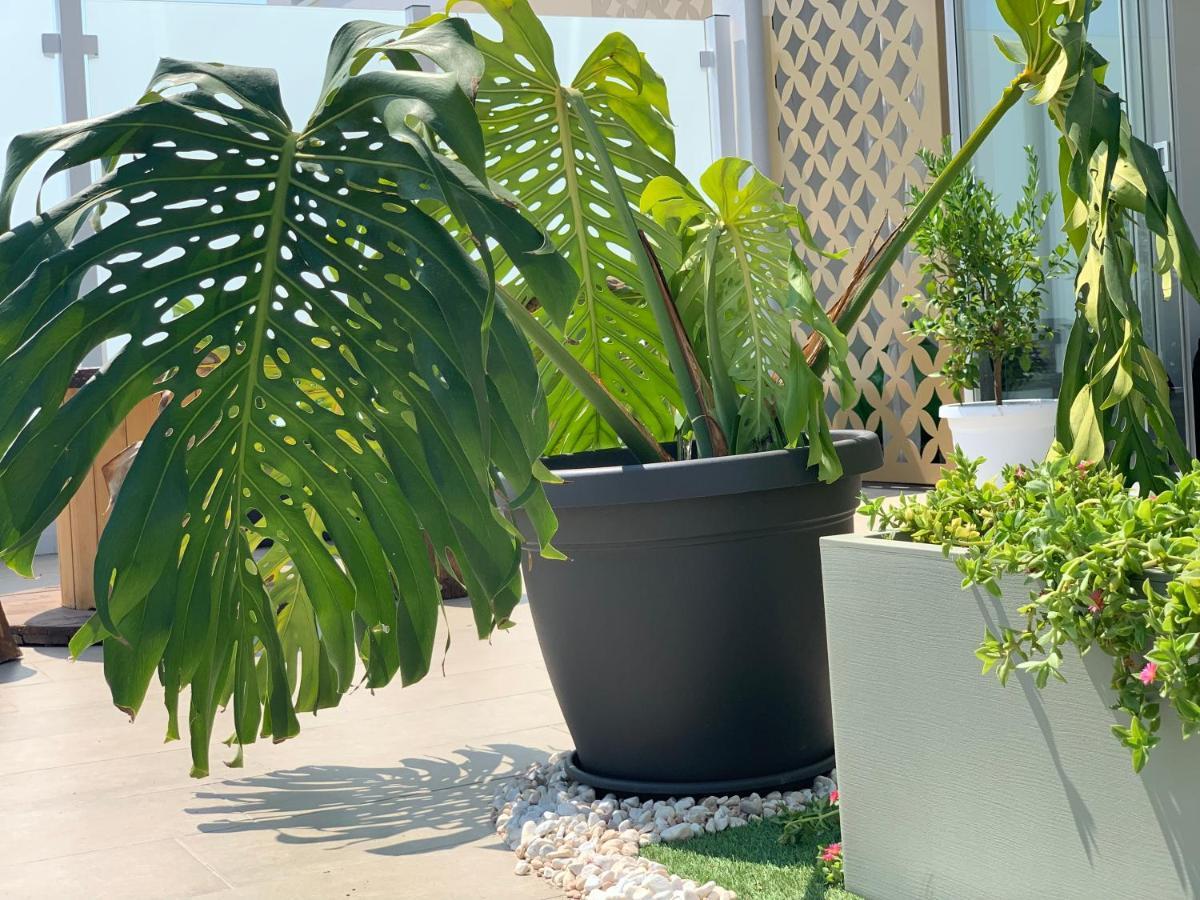 Dalu Suite Terrace Bari Luaran gambar